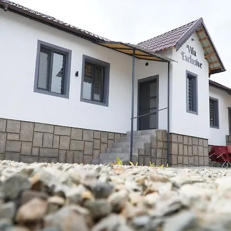 Vila Exclusive Targu Jiu Exterior photo